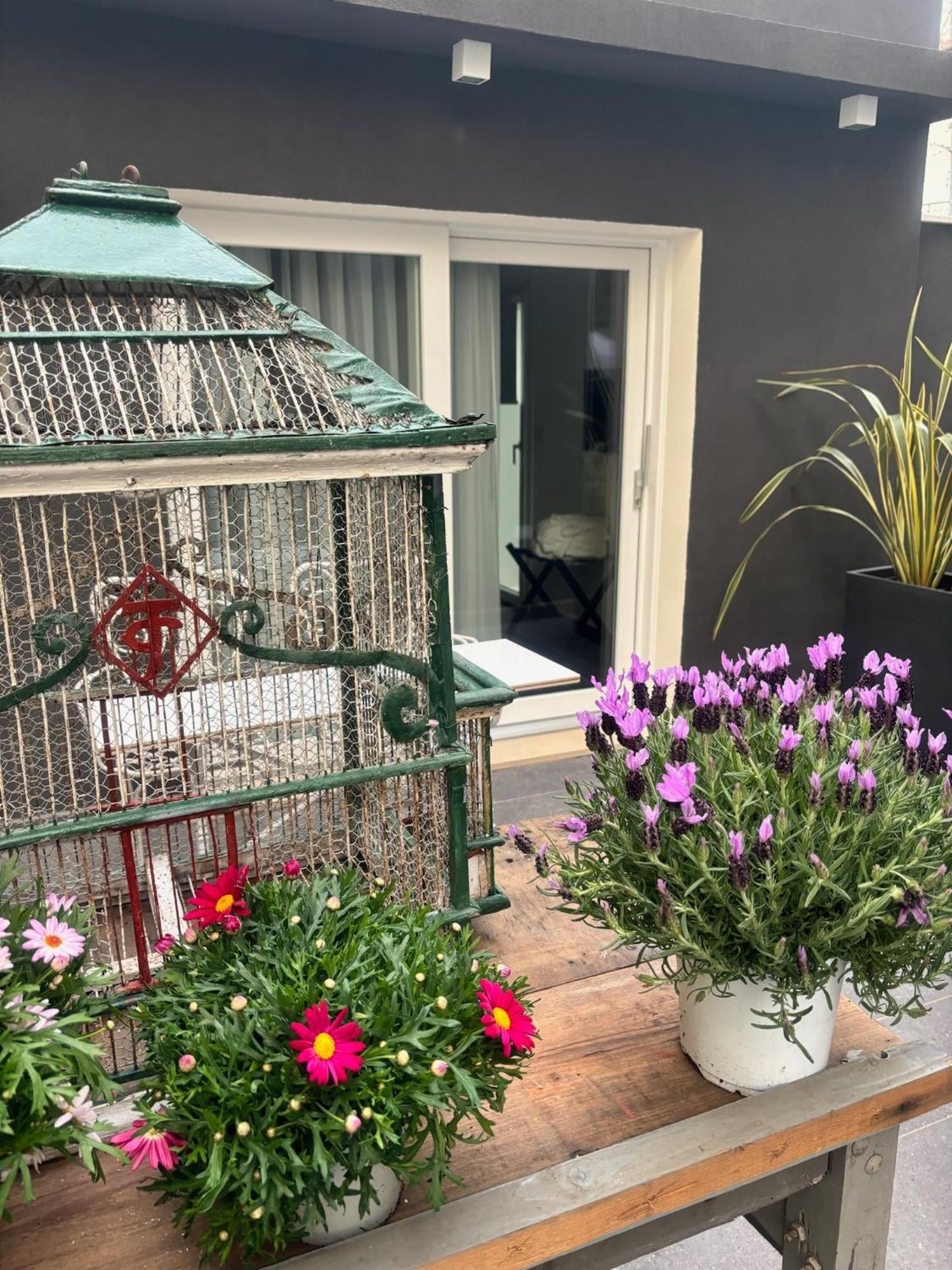Villa Monti Suites&Aparts Cesenatico Eksteriør bilde